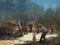 Canavial, por Rui de Paula