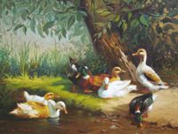 Patos do campo, por Rui de Paula